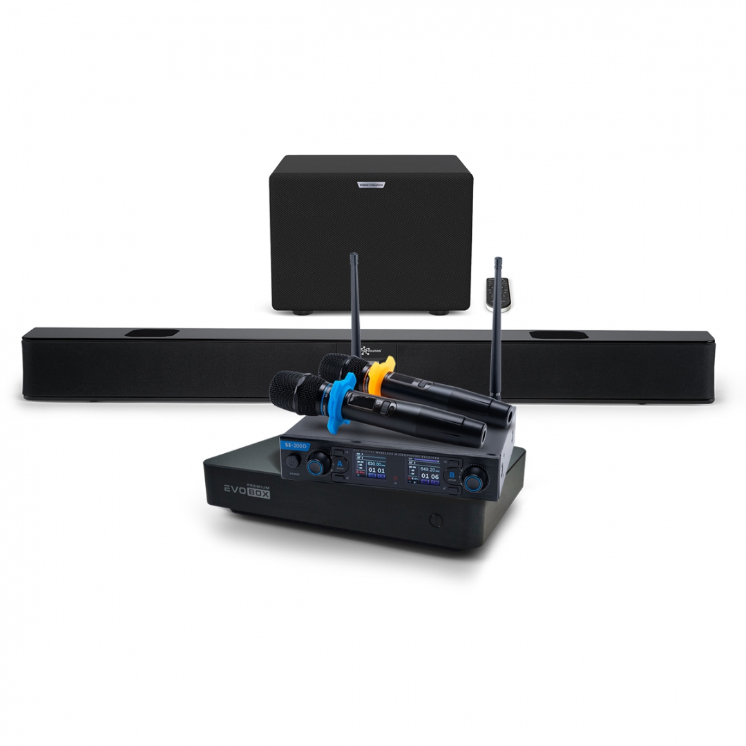 Hi-End караоке-система EVOBOX Premium + EvoSoundBar (саундбар с караоке) в Псковской области