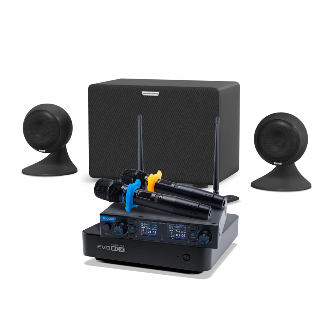 караоке-комплект EVOBOX + EvoSound Sphere 2.1 в Псковской области