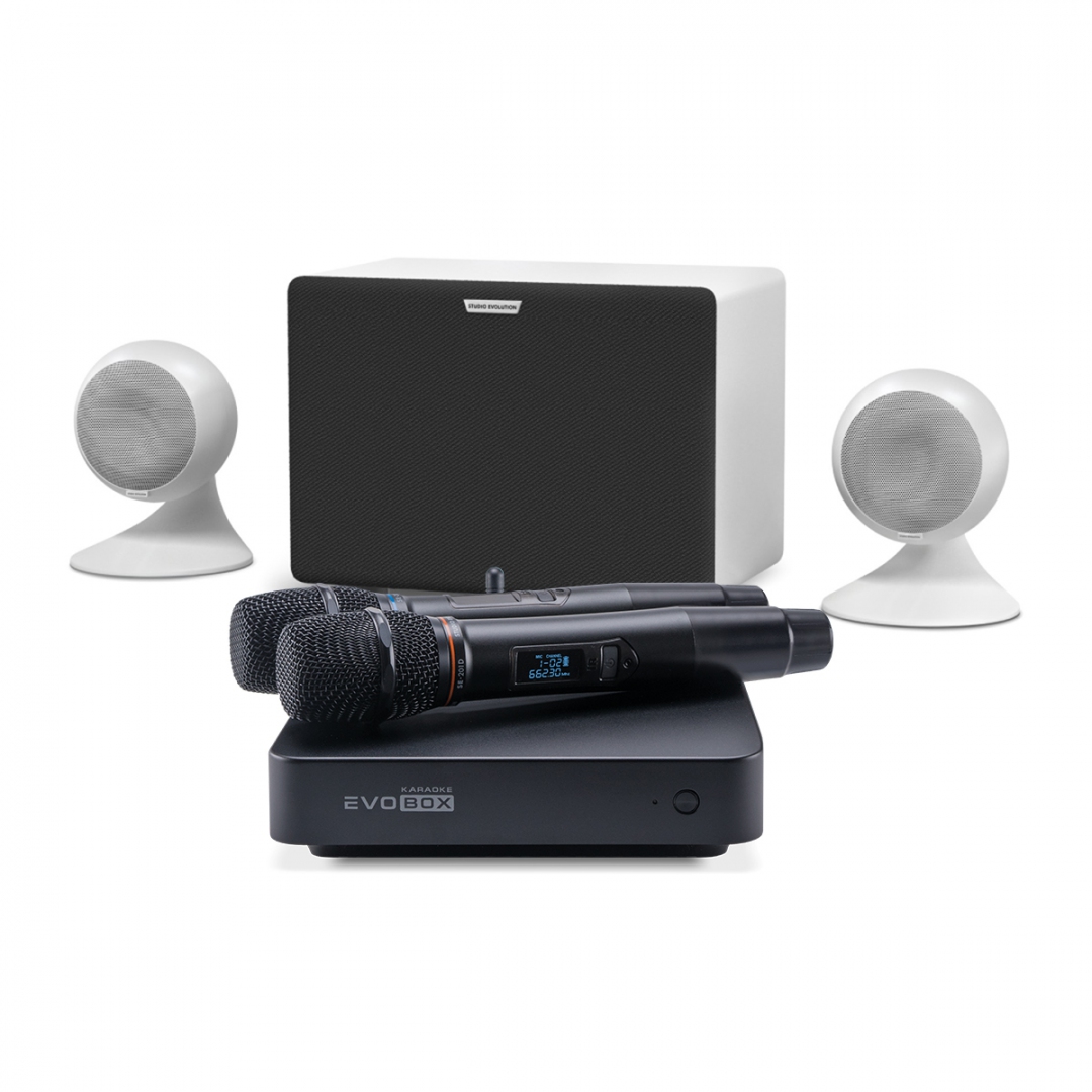караоке-комплект EVOBOX Classic + EvoSound Sphere 2.1 в Псковской области