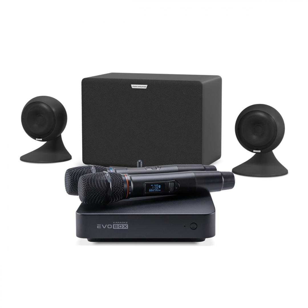 караоке-комплект EVOBOX Plus + EvoSound Sphere 2.1 в Псковской области