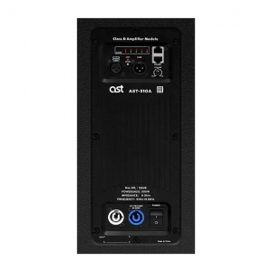 Активная акустическая система AST-310A в Псковской области