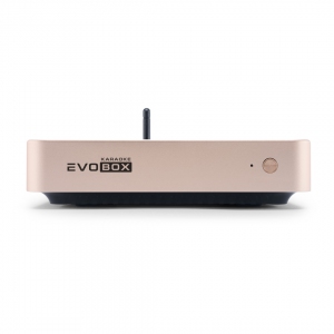 EVOBOX Plus караоке-система для дома в Псковской области