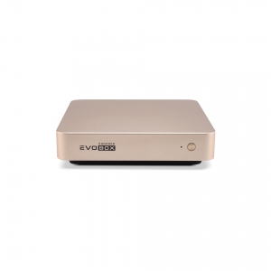 EVOBOX с микрофонами в Псковской области