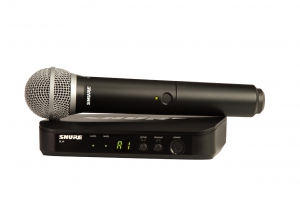 SHURE BLX24E/PG58 M17 вокальная радиосистема в Псковской области